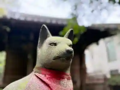 四合稲荷神社の{uncategorized: "未分類", other: "その他", undefined: "問題あり", building: "その他建物", grave: "お墓", sacred_gate: "鳥居", guardian: "狛犬", statue: "像", buddha: "仏像", history: "歴史", nature: "自然", garden: "庭園", animal: "動物", pagoda: "塔", temizu: "手水舎", mountain_gate: "山門・神門", sanctuary: "本殿・本堂", subordinate: "末社・摂社", art: "芸術", scenery: "景色", jizo: "地蔵", ema: "絵馬", goshuin: "御朱印", omikuji: "おみくじ", items: "授与品その他", amulet: "お守り", goshuincho: "御朱印帳", eats: "食事", festival: "お祭り", votive_dance: "神楽", shichigosan: "七五三参", wedding: "結婚式", experience: "体験その他", initially: "初詣", around: "周辺", anti_infection: "感染症対策"}