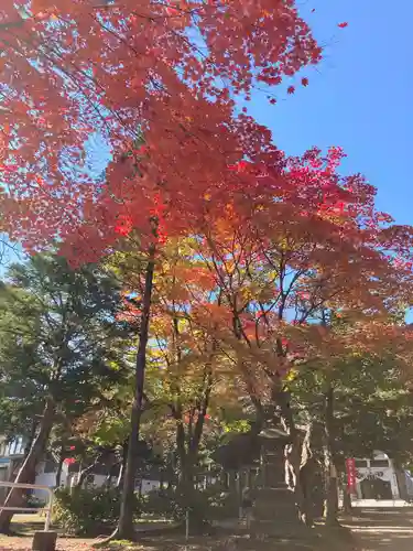 北広島市総鎮守　廣島神社の景色