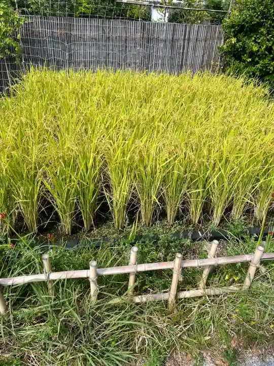鉄道神社(福岡県)