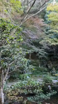 法然院(京都府)