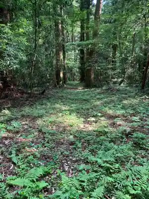 光丸山奥之院の周辺