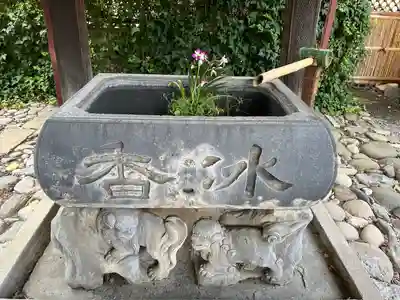 於菊稲荷神社の手水舎