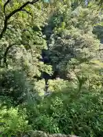 天岩戸神社(宮崎県)
