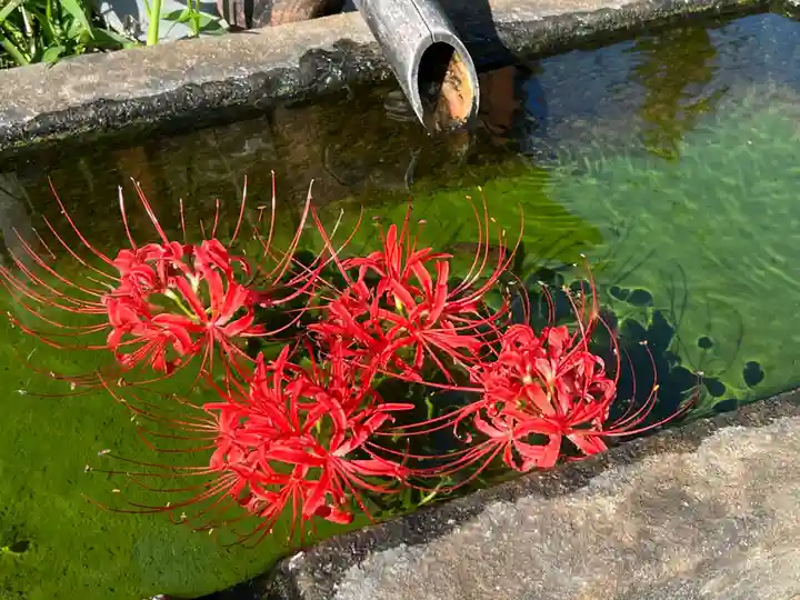 国宝 大法寺の手水舎
