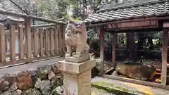 敏満寺 八幡神社(滋賀県)