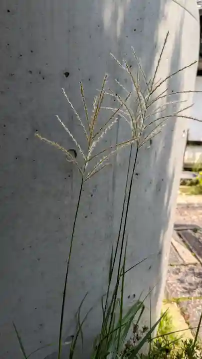 尊陽院(京都府)