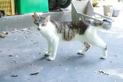 龍岩寺(大分県)