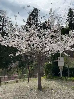 三鈷寺(京都府)