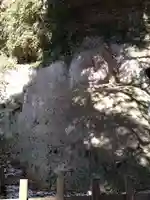 熊野神社(大分県)