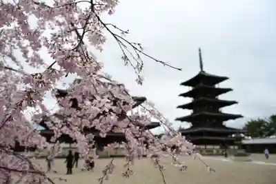 法隆寺(奈良県)