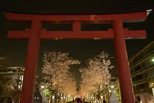 鶴岡八幡宮(神奈川県)
