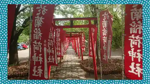 於菊稲荷神社(群馬県)