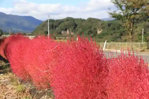 高司神社〜むすびの神の鎮まる社〜の周辺