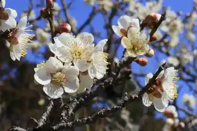 正法寺(京都府)
