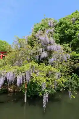 嘉川八幡宮(山口県)