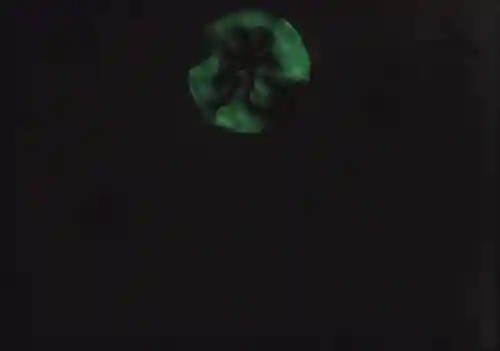 光丸山 法輪寺(栃木県)