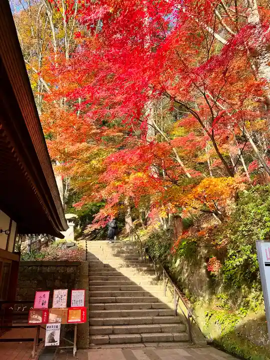 宝珠山 立石寺(山形県)