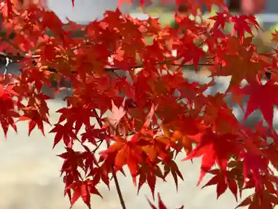 伊勢の国 四天王寺(三重県)