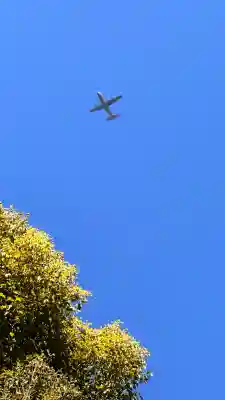 田無神社の{uncategorized: "未分類", other: "その他", undefined: "問題あり", building: "その他建物", grave: "お墓", sacred_gate: "鳥居", guardian: "狛犬", statue: "像", buddha: "仏像", history: "歴史", nature: "自然", garden: "庭園", animal: "動物", pagoda: "塔", temizu: "手水舎", mountain_gate: "山門・神門", sanctuary: "本殿・本堂", subordinate: "末社・摂社", art: "芸術", scenery: "景色", jizo: "地蔵", ema: "絵馬", goshuin: "御朱印", omikuji: "おみくじ", items: "授与品その他", amulet: "お守り", goshuincho: "御朱印帳", eats: "食事", festival: "お祭り", votive_dance: "神楽", shichigosan: "七五三参", wedding: "結婚式", experience: "体験その他", initially: "初詣", around: "周辺", anti_infection: "感染症対策"}