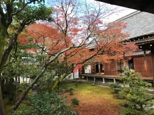 仁和寺の庭園