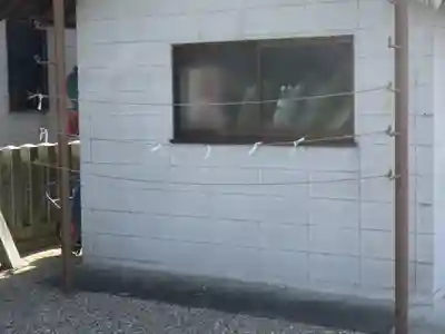 西八龍社のおみくじ