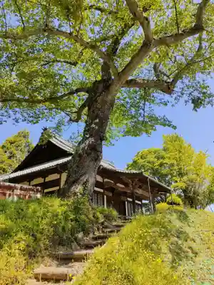 長徳寺の本殿・本堂