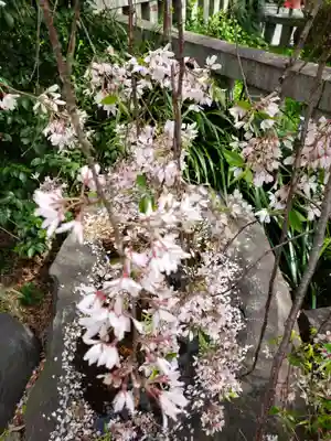 乃木神社(東京都)