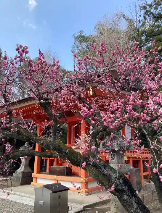 北野天満宮(京都府)
