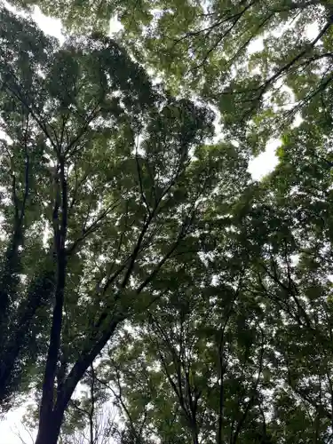 谷保天満宮(東京都)