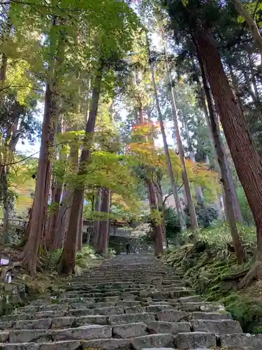 百済寺の建物その他