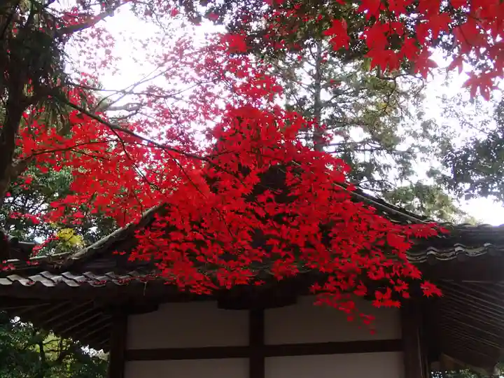 三宅八幡宮の自然