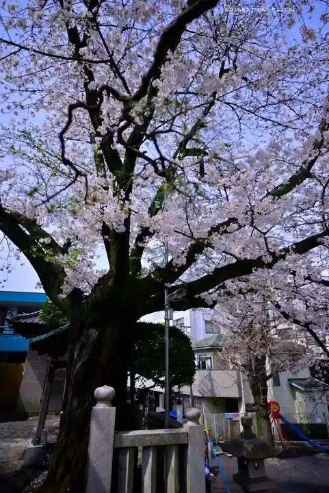 元町厳島神社(神奈川県)