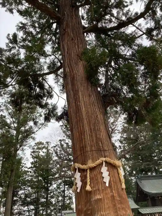 穂高神社本宮の自然
