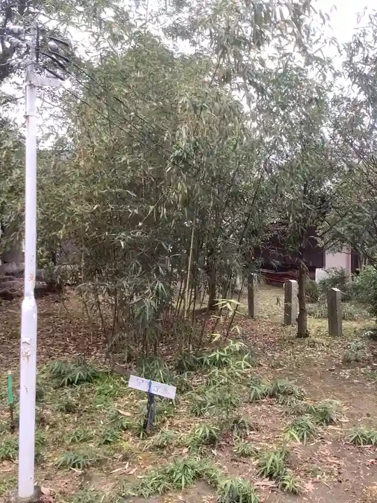 籠守勝手神社(木曽川町黒田)の庭園