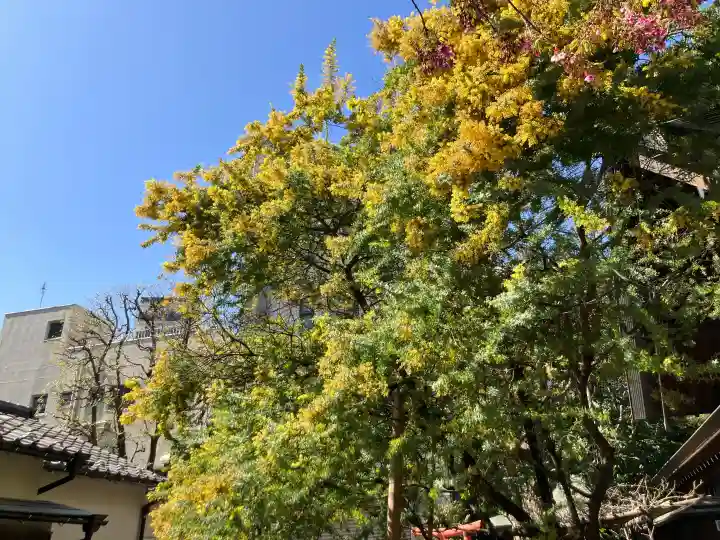 蔵前神社の{uncategorized: "未分類", other: "その他", undefined: "問題あり", building: "その他建物", grave: "お墓", sacred_gate: "鳥居", guardian: "狛犬", statue: "像", buddha: "仏像", history: "歴史", nature: "自然", garden: "庭園", animal: "動物", pagoda: "塔", temizu: "手水舎", mountain_gate: "山門・神門", sanctuary: "本殿・本堂", subordinate: "末社・摂社", art: "芸術", scenery: "景色", jizo: "地蔵", ema: "絵馬", goshuin: "御朱印", omikuji: "おみくじ", items: "授与品その他", amulet: "お守り", goshuincho: "御朱印帳", eats: "食事", festival: "お祭り", votive_dance: "神楽", shichigosan: "七五三参", wedding: "結婚式", experience: "体験その他", initially: "初詣", around: "周辺", anti_infection: "感染症対策"}