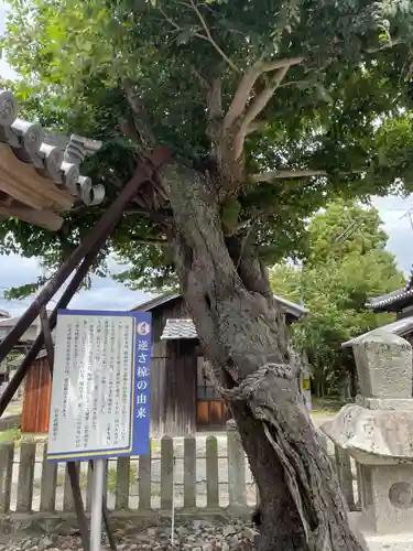 石海神社の自然