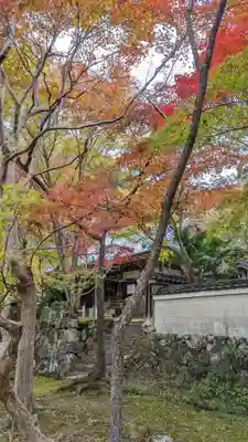 勝持寺（花の寺）(京都府)