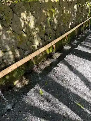 富士山本宮浅間大社(静岡県)