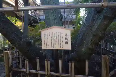 大宮八幡宮(東京都)