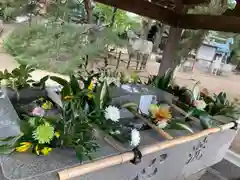 高砂神社の手水