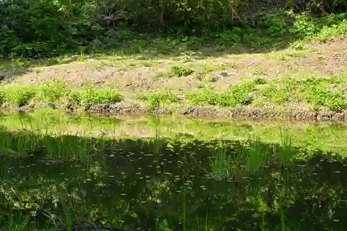 郡殿の池弁財天社(新潟県)