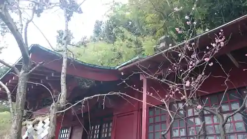 藤森稲荷神社の本殿