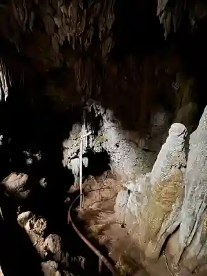 金武宮の{uncategorized: "未分類", other: "その他", undefined: "問題あり", building: "その他建物", grave: "お墓", sacred_gate: "鳥居", guardian: "狛犬", statue: "像", buddha: "仏像", history: "歴史", nature: "自然", garden: "庭園", animal: "動物", pagoda: "塔", temizu: "手水舎", mountain_gate: "山門・神門", sanctuary: "本殿・本堂", subordinate: "末社・摂社", art: "芸術", scenery: "景色", jizo: "地蔵", ema: "絵馬", goshuin: "御朱印", omikuji: "おみくじ", items: "授与品その他", amulet: "お守り", goshuincho: "御朱印帳", eats: "食事", festival: "お祭り", votive_dance: "神楽", shichigosan: "七五三参", wedding: "結婚式", experience: "体験その他", initially: "初詣", around: "周辺", anti_infection: "感染症対策"}