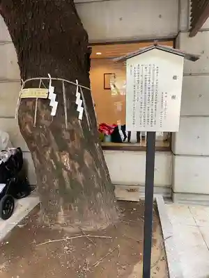 乃木神社(東京都)