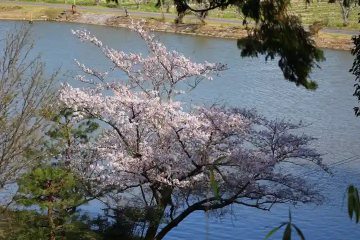 牟禮山観音禅寺の自然