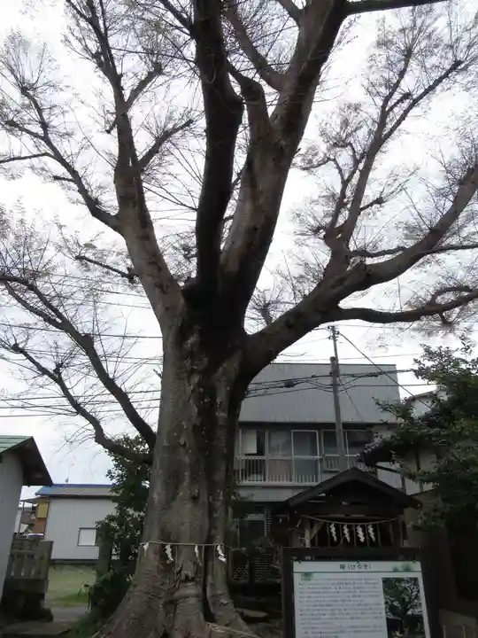龍ケ崎八坂神社(茨城県)