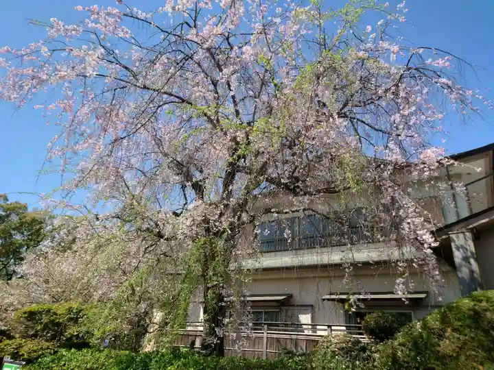 地蔵寺(徳島県)