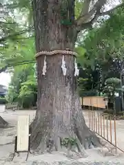 春日部八幡神社(埼玉県)