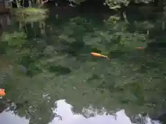 涌釜神社の周辺