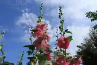 豊景神社の自然